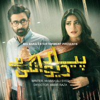 Pyar Deewangi Hai poster