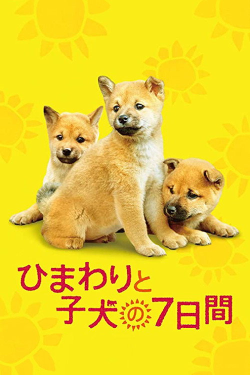 7 Days Of Himawari Her Puppies poster