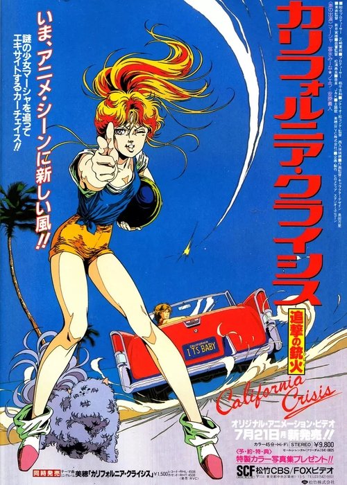 California Crisis: Tsuigeki no Jūka poster