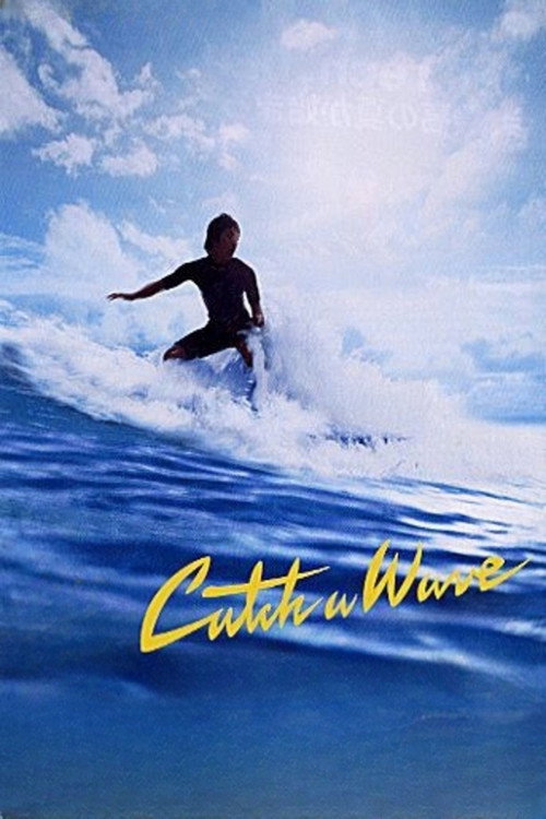 Catch a Wave poster