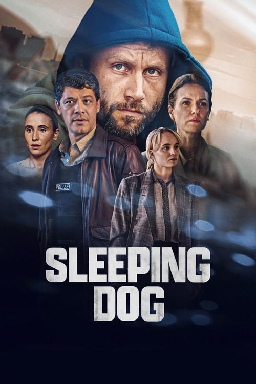 Schlafende Hunde poster