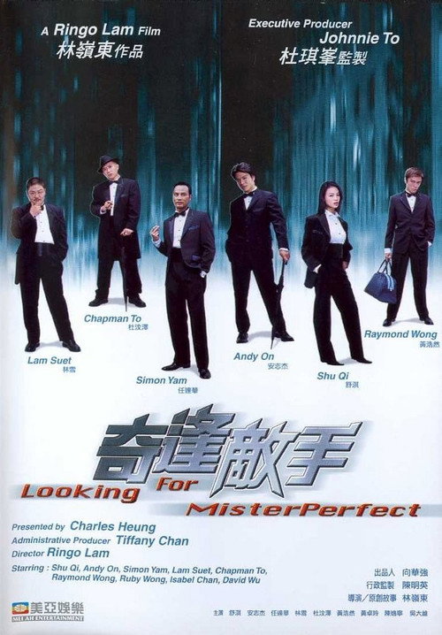 Looking for Mister Perfect poster
