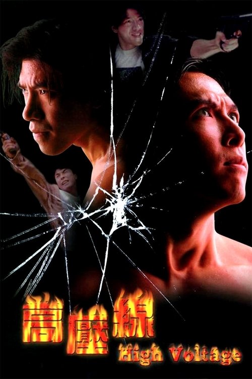 Asian Cop: High Voltage poster