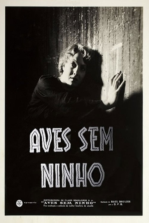 Aves Sem Ninho poster