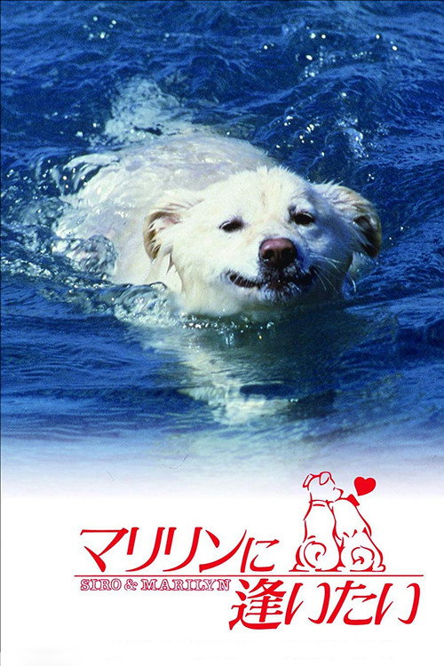 Marilyn ni Aitai poster