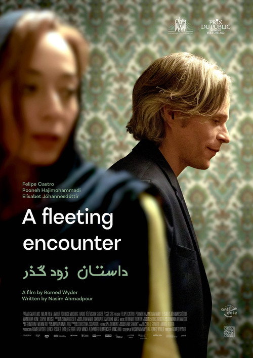 A fleeting encounter poster