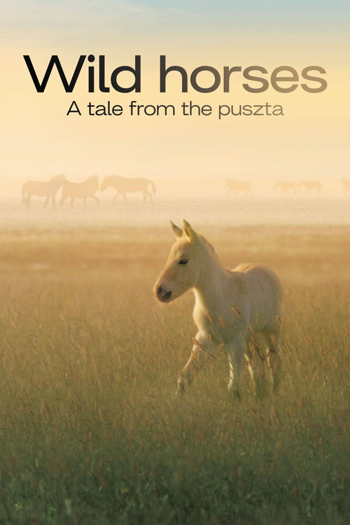 Wild Horses: A Tale from the Puszta poster