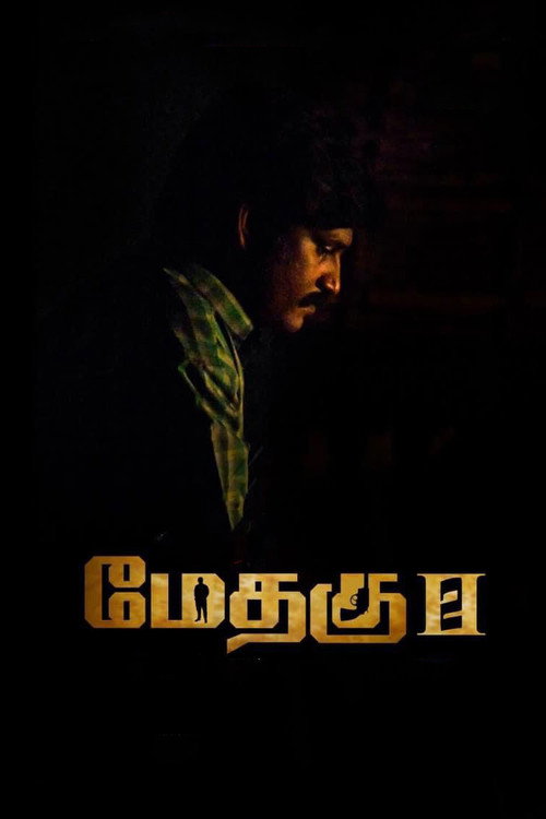 Methagu 2 poster