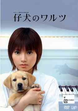 仔犬のワルツ poster