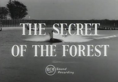 The Secret of the Forest poster