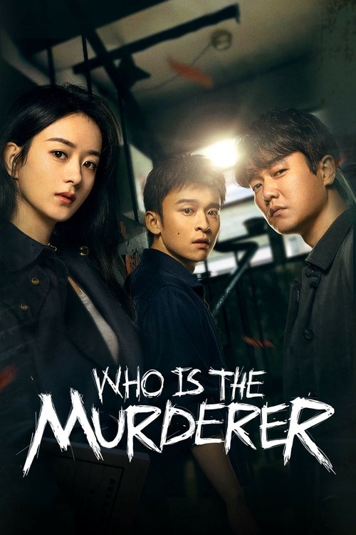 Who is The Murderer poster