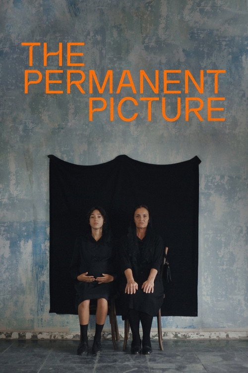 The Permanent Picture poster