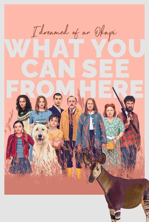 What You Can See From here poster