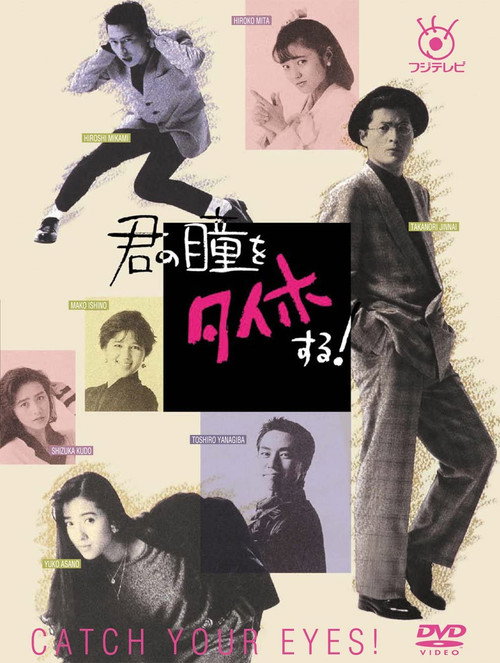 Kimi no Hitomi wo Taiho suru! poster