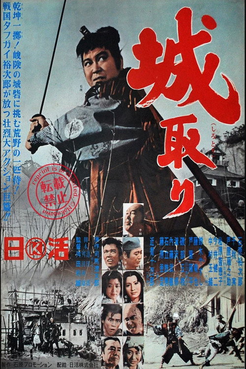 Taking The Castle poster