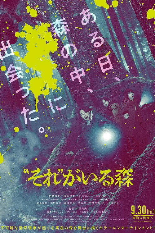 Sore ga Iru Mori poster
