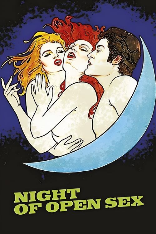 Night of Open Sex poster