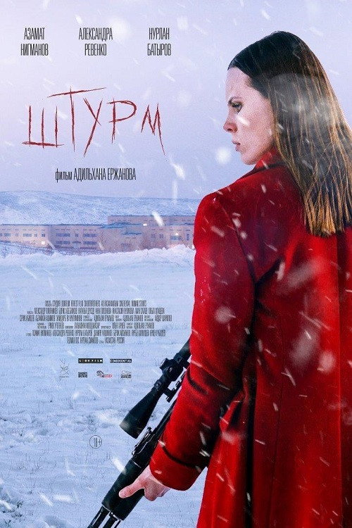Shturm poster