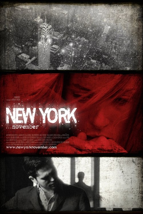 New York: November poster