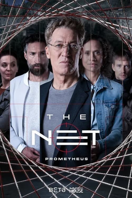 The Net Austria poster