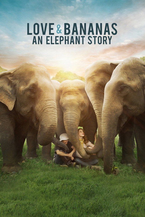 Love and Bananas poster