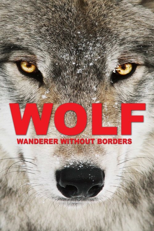 Wolf poster