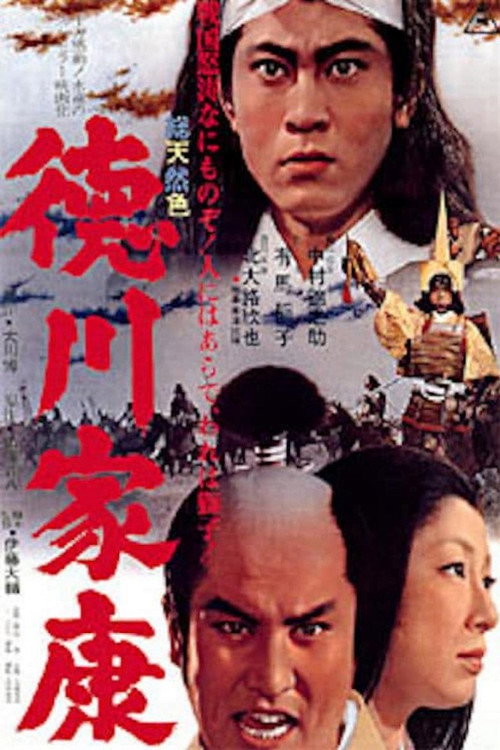 Tokugawa Ieyasu poster