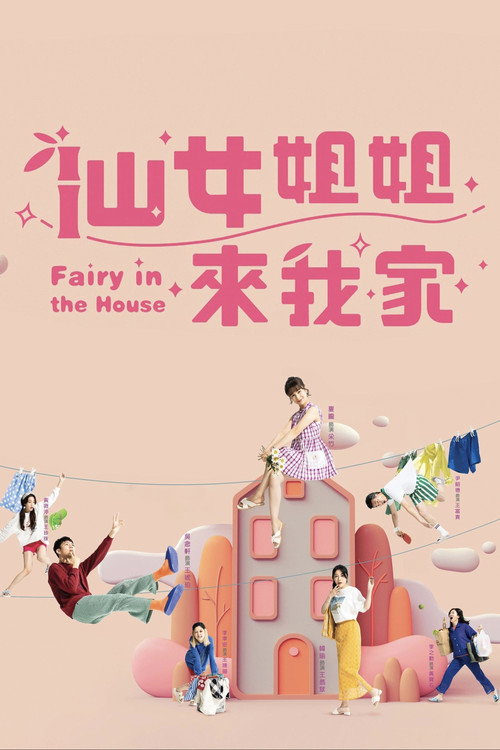 Fairy In The House poster