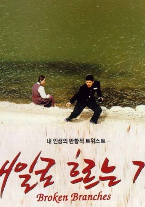 The River Flows To Tomorrow poster