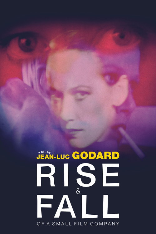 Grandeur et décadence d'un petit commerce de cinéma poster