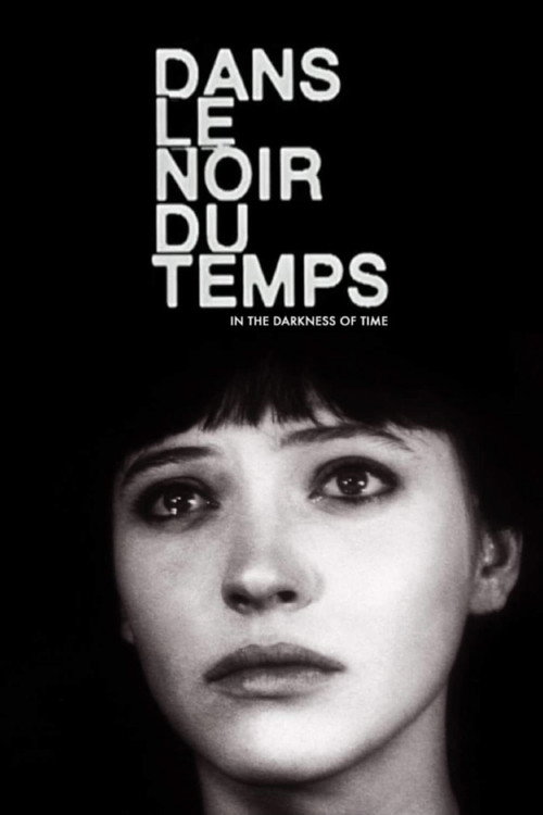 Dans le noir du temps poster