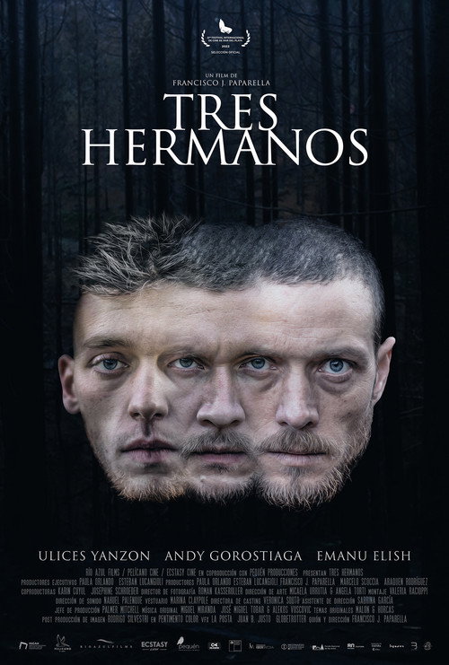 Three Brothers poster