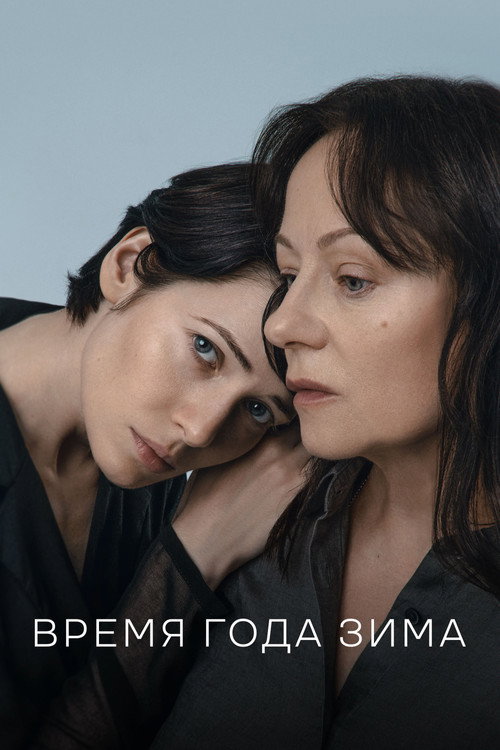 Vremya goda zima poster