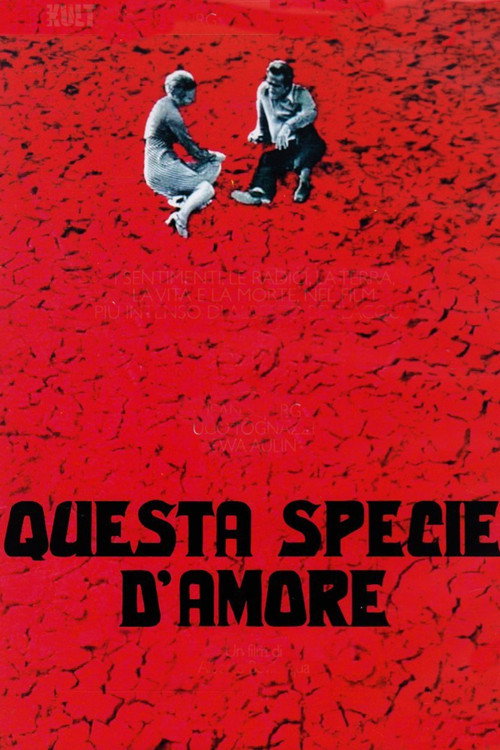 Questa specie d'amore poster
