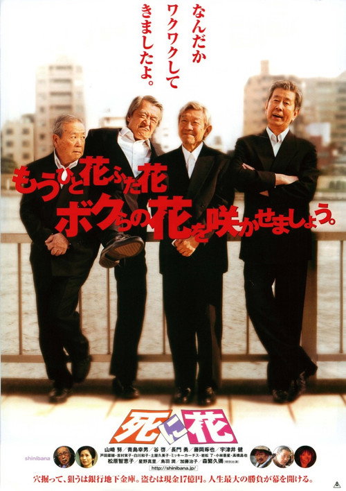 Blooming Again poster