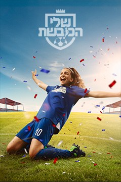 האריות של שלי הכובשת poster