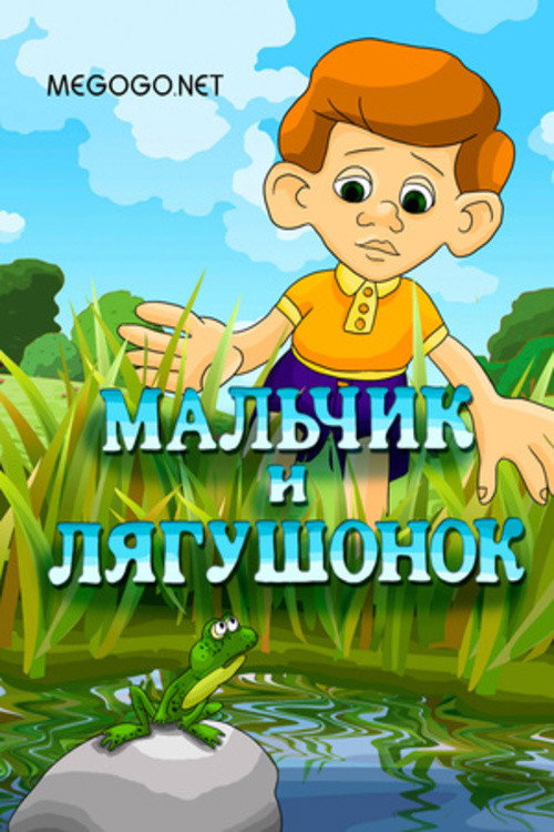 The Boy and the Frog poster