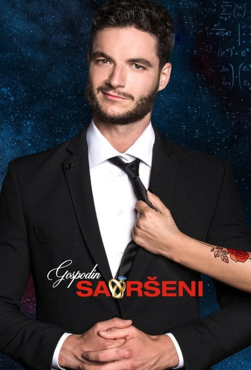 Gospodin Savršeni poster