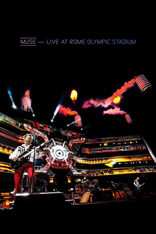 Live at Rome Olympic Stadium poster