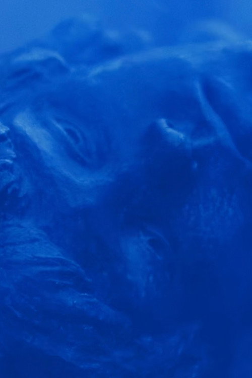 Azul no Azul poster