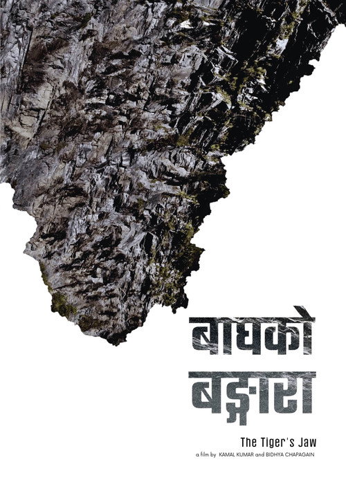 The Tiger’s Jaw poster