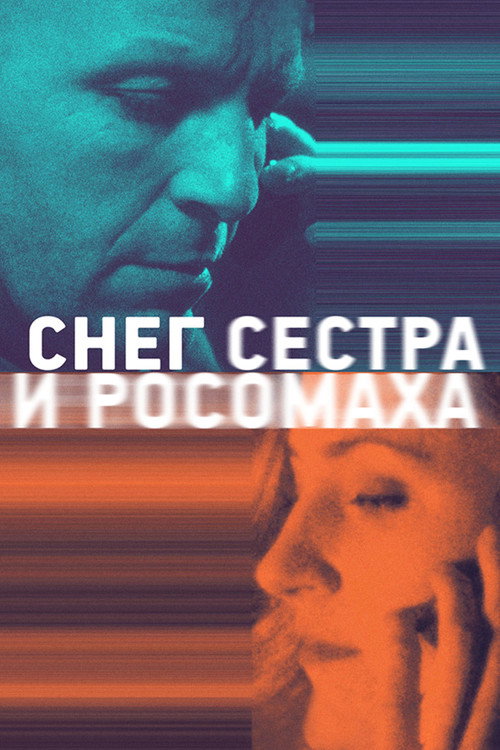 Sneg, sestra i rosomakha poster