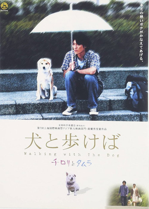 Walking With The Dog poster