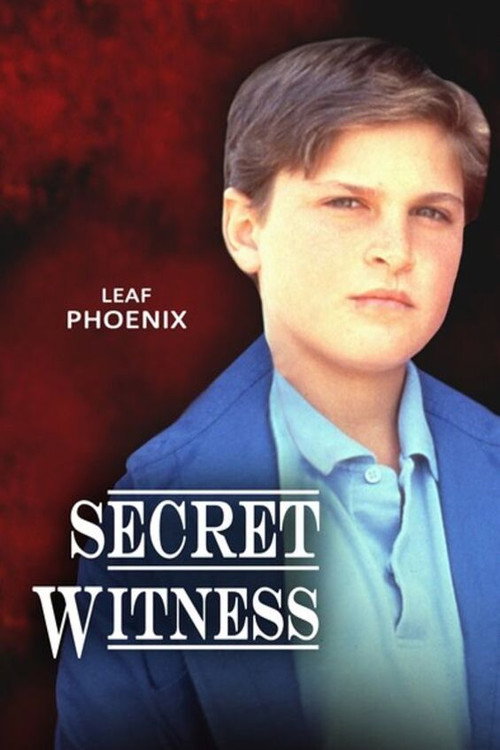 No Secrets poster
