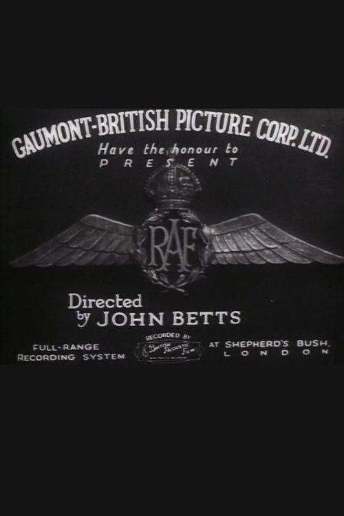 R.A.F. poster