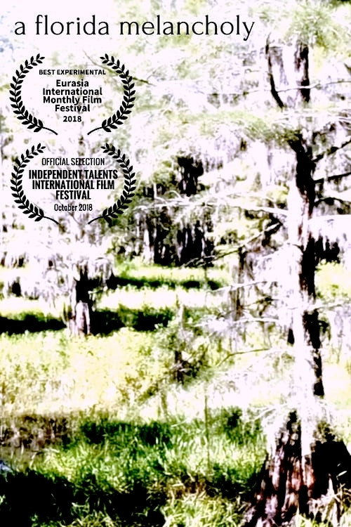A Florida Melancholy poster