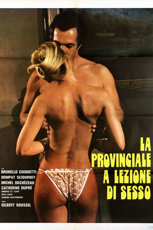 Provincial Girl in Sex Lesson poster