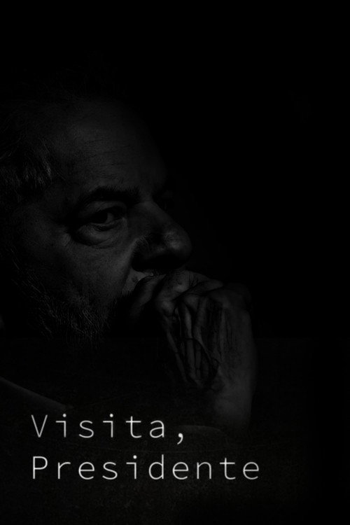 Visita, presidente poster
