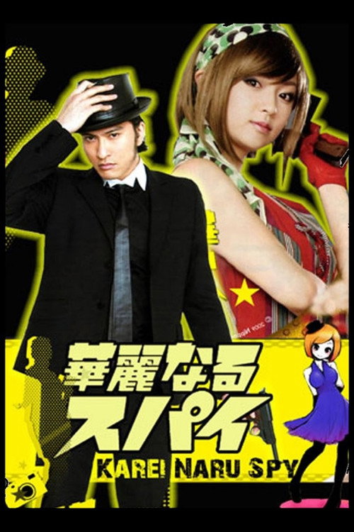 Brilliant Spy poster