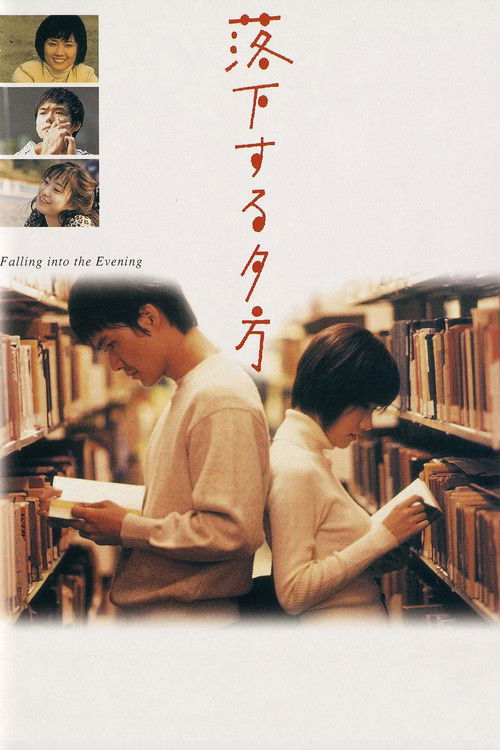 Falling Into The Evening poster